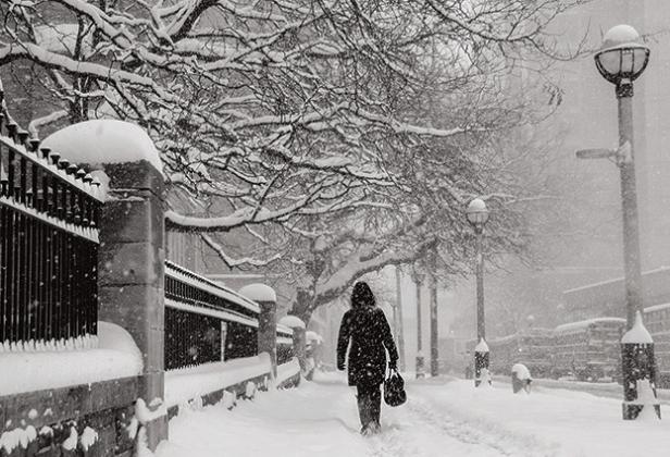 How to prepare for this year’s winter storms