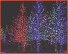Village of Holland returns to Thursday tree lighting