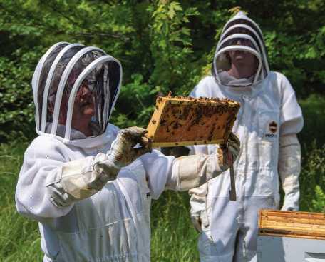 Honeybee hives produce unexpected opportunities for Owens Community