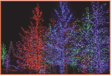 Village of Holland tree lighting Dec. 5