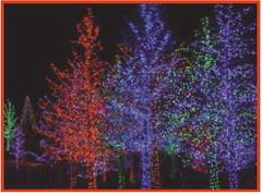 Village of Holland returns to Thursday tree lighting
